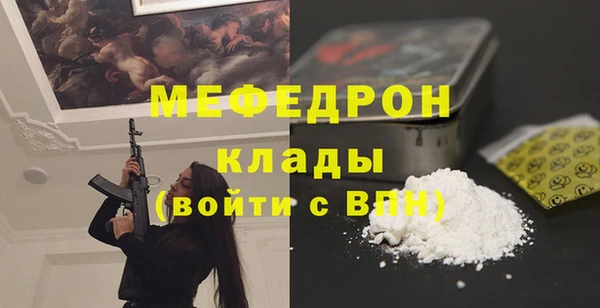 СК Алексин