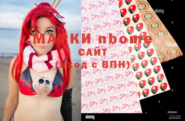 СК Алексин