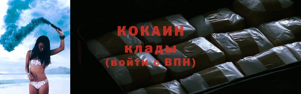 СК Алексин
