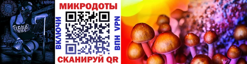 где купить наркотик  мориарти какой сайт  Псилоцибиновые грибы GOLDEN TEACHER  Ростов-на-Дону 