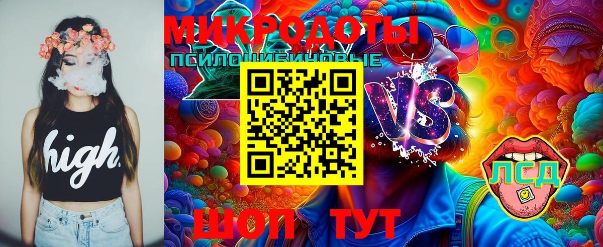 Псилоцибиновые грибы мицелий Ростов-на-Дону